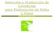 Selección y Producción de Levaduras para Elaboración de Sidra y Vinos
