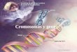 Cromosomas y genes. Objetivos Entender y valorar que los cromosomas son portadores de los genes y que estos son unidades donde se encuentra codificada
