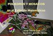 POLIEDROS Y MOSAICOS en el Taller de Matemáticas Jesús García Gual Mercedes Sánchez Benito