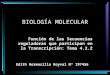 BIOLOGÍA MOLECULAR Función de las Secuencias reguladoras que participan en la Transcripción: Tema 4.2.2 Edith Hermosillo Royval Nº 197456