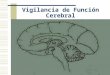Vigilancia de Función Cerebral. Incitación al desarrollo de nuevas técnicas IV Coloquios de Ingeniería Biomédica en Valparaiso (Conferencias 2002 Rama