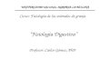 “Fisiología Digestiva” Profesor: Carlos Gómez, PhD Curso: Fisiología de los animales de granja UNIVERSIDAD NACIONAL AGRARIA LA MOLINA