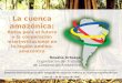 Rosalía Arteaga Organización del Tratado de Cooperación Amazónica La cuenca amazónica: Retos para el futuro y la cooperación interinstitucional en la región