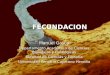 FECUNDACION FECUNDACION Manuel Gasco Departamento Académico de Ciencias Biológicas y Fisiológicas Facultad de Ciencias y Filosofía Universidad Peruana