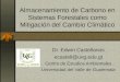 Almacenamiento de Carbono en Sistemas Forestales como Mitigación del Cambio Climático Dr. Edwin Castellanos ecastell@uvg.edu.gt Centro de Estudios Ambientales