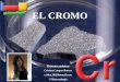 EL CROMO Elementos químicos Cristina Campos Bornes criska_09@hotmail.com 1º Biotecnología