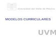 MODELOS CURRICULARES Universidad del Valle de México UVM