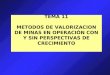 TEMA 11 METODOS DE VALORIZACION DE MINAS EN OPERACIÓN CON Y SIN PERSPECTIVAS DE CRECIMIENTO