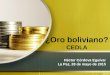 ¿Oro boliviano? CEDLA Héctor Córdova Eguívar La Paz, 28 de mayo de 2015