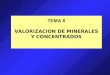 TEMA 6 VALORIZACION DE MINERALES Y CONCENTRADOS. VALORIZACION DE MINERALES