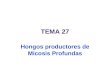 TEMA 27 Hongos productores de Micosis Profundas. Micosis profundas por hongos oportunistas Levaduras: Género Candida: - C. albicans Hongos filamentosos: