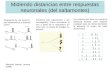Midiendo distancias entre respuestas neuronales (del saltamontes) Respuesta de una neurona (del saltamontes) a distintos olores Problema (del saltamontes