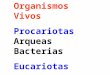 Organismos Vivos Procariotas Arqueas Bacterias Eucariotas Protistas, Hongos, Plantas y Animales