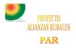 El Proyecto Alianzas Rurales pretende probar y establecer un nuevo enfoque del desarrollo rural a partir de alianzas productivas entre pequeños productores