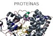 PROTEÍNAS. DOGMA CENTRAL TranscripciónDNA -->RNA Traducción RNA -->Proteínas