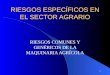1 RIESGOS ESPECÍFICOS EN EL SECTOR AGRARIO RIESGOS COMUNES Y GENÉRICOS DE LA MAQUINARIA AGRÍCOLA