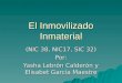 El Inmovilizado Inmaterial (NIC 38, NIC17, SIC 32) Por: Yasha Lebrón Calderón y Elisabet García Maestre