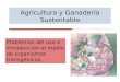 Agricultura y Ganadería Sustentable Problemas del uso e introducción al medio de organismos transgénicos