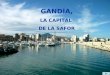 Carla Masip Almiñana1 GANDÍA, LA CAPITAL DE LA SAFOR