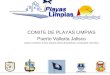 COMITE DE PLAYAS LIMPIAS Puerto Vallarta Jalisco (Cabo Corrientes, Puerto Vallarta, Bahia de Banderas, Compostela, San Blas)