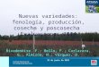 25 de junio de 2015 Nuevas variedades: fenología, producción, cosecha y poscosecha Evaluaciones 2014 Rivadeneira, F.; Bello, F.; Carlazara, G.; Almirón,