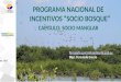 PROGRAMA NACIONAL DE INCENTIVOS “SOCIO BOSQUE” CAPITULO: SOCIO MANGLAR Mayo, 2015 fernando.garcia@ambiente.gob.ec Blgo. Fernando García