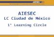 AIESEC LC Ciudad de México 1° Learning Circle. TECNOLOGÍAS DE INFORMACIÓN Y COMUNICACIONES Integran el flujo de la información con la finalidad de que