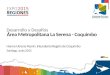 Hanne Utreras Peyrín, Intendenta Región de Coquimbo Santiago, Junio 2015 Desarrollo y Desafíos Área Metropolitana La Serena - Coquimbo 1