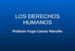 LOS DERECHOS HUMANOS Profesor Hugo Llanos Mansilla