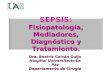 Fisiopatología, Mediadores, Diagnóstico y Tratamiento. SEPSIS: Fisiopatología, Mediadores, Diagnóstico y Tratamiento. Dra. Beatriz Galván Guijo Hospital