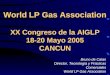 Bruno de Calan Director, Tecnología y Prácticas Comerciales World LP Gas Association World LP Gas Association XX Congreso de la AIGLP 18-20 Mayo 2005 CANCUN