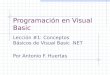 Programación en Visual Basic Lección #1: Conceptos Básicos de Visual Basic.NET Por Antonio F. Huertas