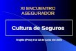 XI ENCUENTRO ASEGURADOR Cultura de Seguros Trujillo (Perú) 9 al 12 de junio del 2005