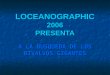 LOCEANOGRAPHIC 2006 PRESENTA A LA BUSQUEDA DE LOS BIVALVOS GIGANTES