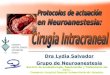 Dra Lydia Salvador Grupo de Neuroanestesia Servicio de Anestesiología, Reanimación y Tratamiento del Dolor. Consorcio Hospital General Universitario de