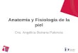 Anatomía y Fisiología de la piel Dra. Angélica Beirana Palencia