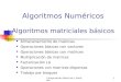 Computación Matricial y Paralela1 Algoritmos Numéricos Algoritmos matriciales básicos Almacenamiento de matrices Operaciones básicas con vectores Operaciones