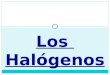 Los Halógenos. Elementos que pertenecen a este grupo Halógenos: en griego, “formadores de sales”. Los Halógenos se encuentran situados en el grupo 17