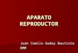 APARATO REPRODUCTOR Juan Camilo Godoy Bautista OMM
