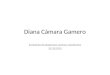 Diana Cámara Gamero Evaluación de programas, centros y profesores 25/10/2010