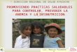 DIRECCION REGIONAL DE SALUD AYACUCHO Lic. Maruja Palomino P. PROMOVIENDO PRACTICAS SALUDABLES PARA CONTROLAR, PREVENIR LA ANEMIA Y LA DESNUTRICION