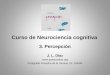 Curso de Neurociencia cognitiva 3. Percepción J. L. Díaz  Postgrado Filosofía de la Ciencia, IIF, UNAM