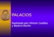 PALACIOS Realizado por: Miriam Casillas y Beatriz Martín