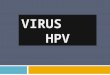 VIRUS HPV. DefiniciónClasificación Factores de Riesgo Clínica Tratamiento Prevención