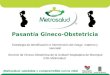 Pasantía Gineco-Obstetricia Estrategia de identificación e intervención del riesgo materno y neonatal Servicio de Gineco-Obstetricia de la Unidad Hospitalaria