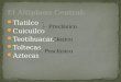 Tlatilco Cuicuilco Teotihuacan - Toltecas Aztecas Preclásico Posclásico Clásico