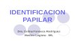IDENTIFICACION PAPILAR Dra. Celina Fonseca Rodríguez Medico Legista - IML