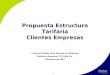 1 Propuesta Estructura Tarifaria Clientes Empresas Francisco Zúñiga Caro, Gerente de Marketing Telefónica Empresas CTC Chile S.A. Diciembre de 2003