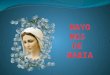 Mayo: Mes de María Mayo es el mes de las flores, de la primavera. Mes en el que todos recuerdan a su mamá (el famoso 10 de Mayo) y las flores son el regalo