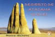 Música: Nicholas Gunn Desierto de Atacama El desierto de Atacama, a 2.348 metros de altura, se encuentra en el norte de Chile. Ocupa una extensión de
